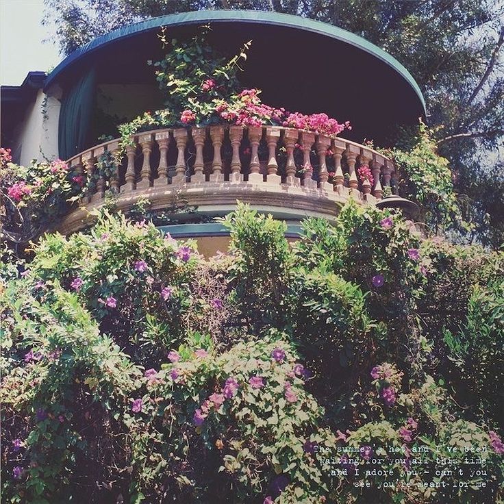 the balcony is covered with pink flowers and greenery on it's balconies