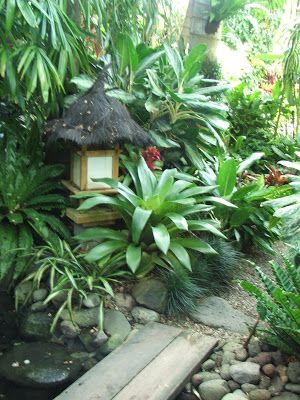 a small pond surrounded by tropical plants and rocks with a hut in the middle on top