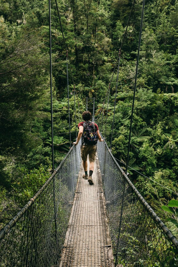 a man walking across a suspension bridge in the forest