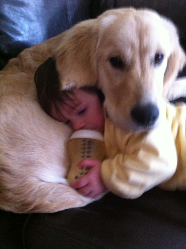 a baby and a dog cuddle together on the couch