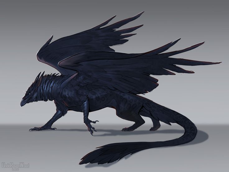 a 3d rendering of a black dragon with its wings spread out and claws extended, on a gray background