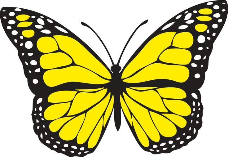 a yellow butterfly with white dots on it's wings