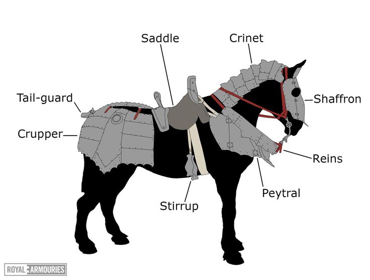 the parts of a horse that are labeled in this diagram, including saddle, tail - guard, sharpener, stirrups, and reins