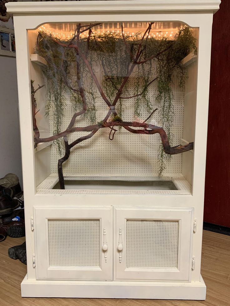 a white cabinet with plants growing out of it's sides and lights in the background