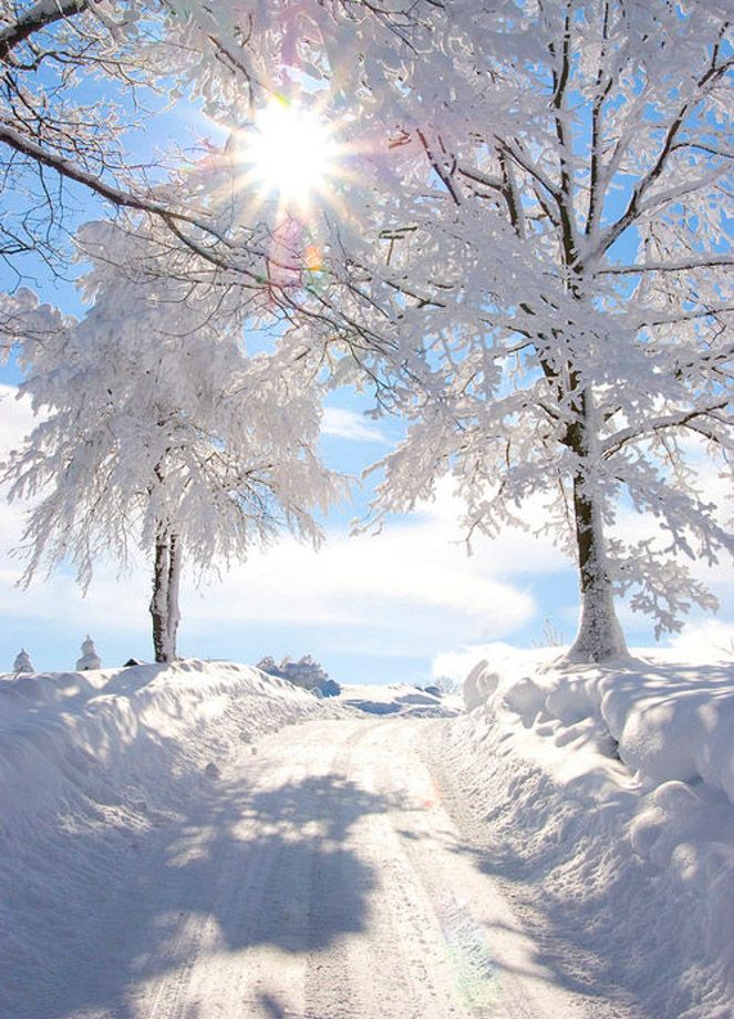 the sun shines brightly through snow covered trees on a snowy road in wintertime