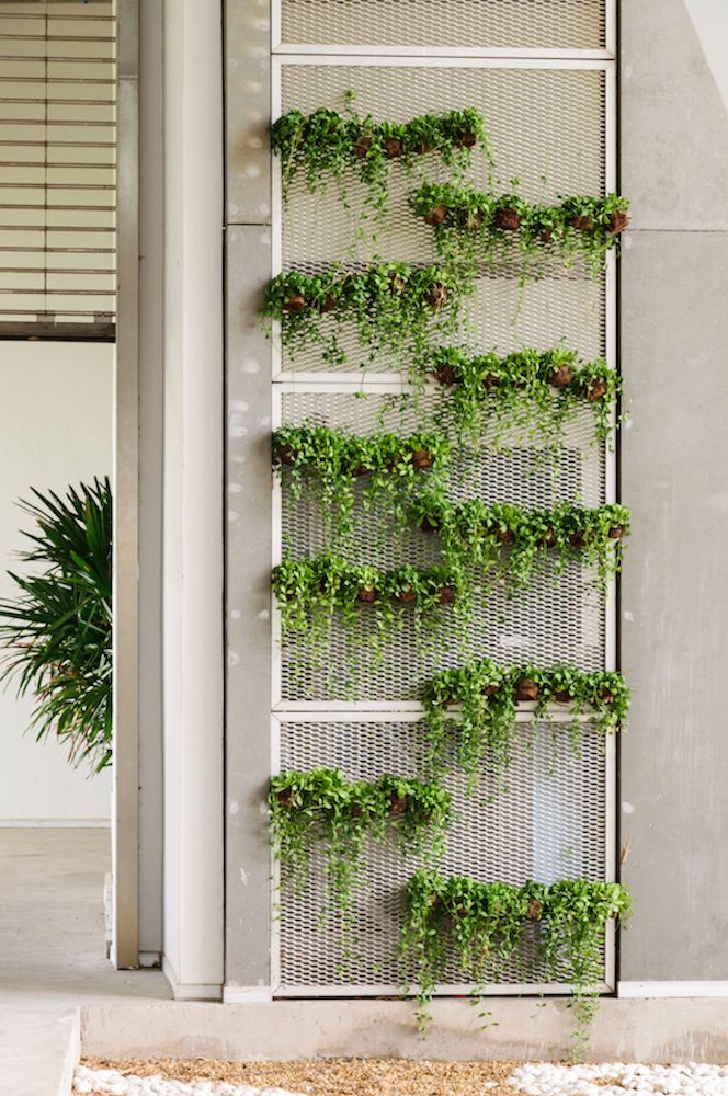 an indoor planter with many plants growing on it