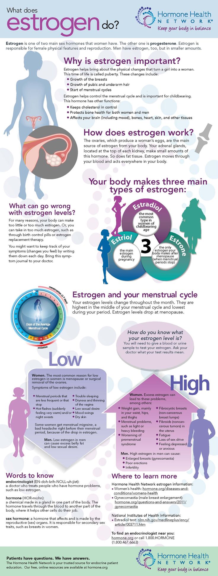 Image result for menopause infographics Period Blood, Low Estrogen Symptoms, Low Estrogen, Hormone Health, Health Info, Hormone Balancing, Body Health, Health Remedies, Womens Health