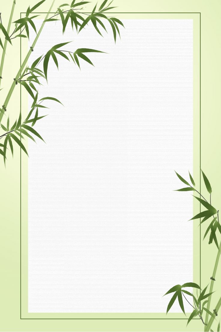 an image of bamboo leaves on a green background with a white square in the middle