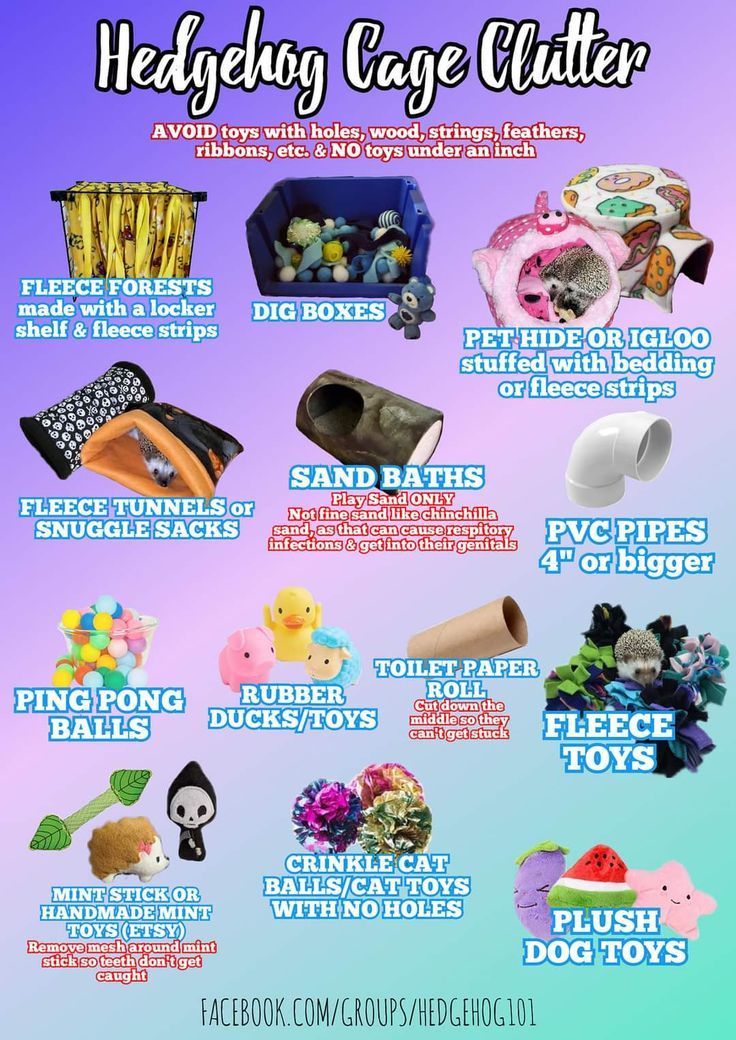 a poster with different types of toys and things to buy in the store on it