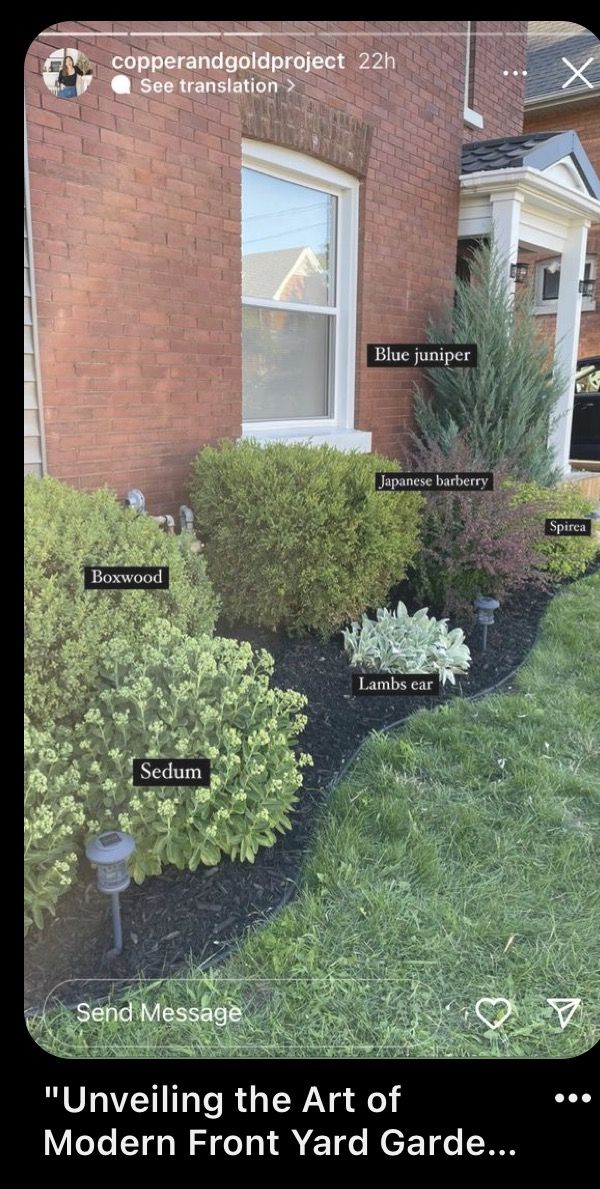 the landscaping in front of a house is labeled with different types of bushes and shrubs