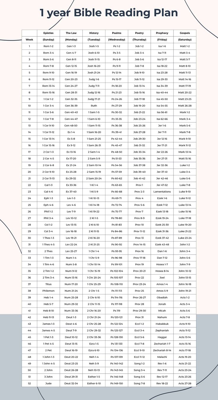 the year bible reading plan is shown