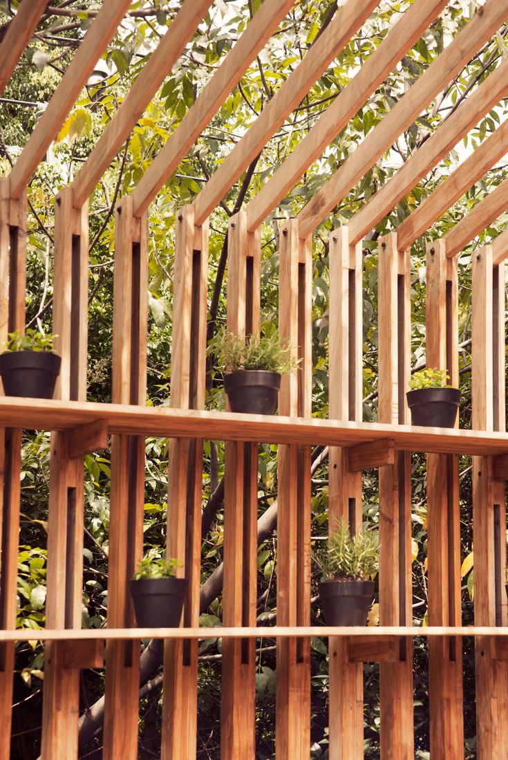 several potted plants sit on wooden shelves in front of a wall covered with wood slats