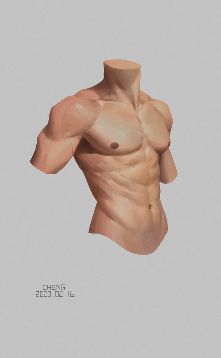 an image of a man's torso with no shirt on, showing the muscles