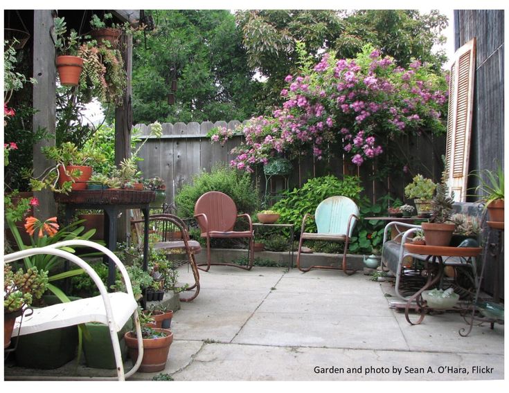 an outdoor patio with lots of potted plants and chairs on it's sides