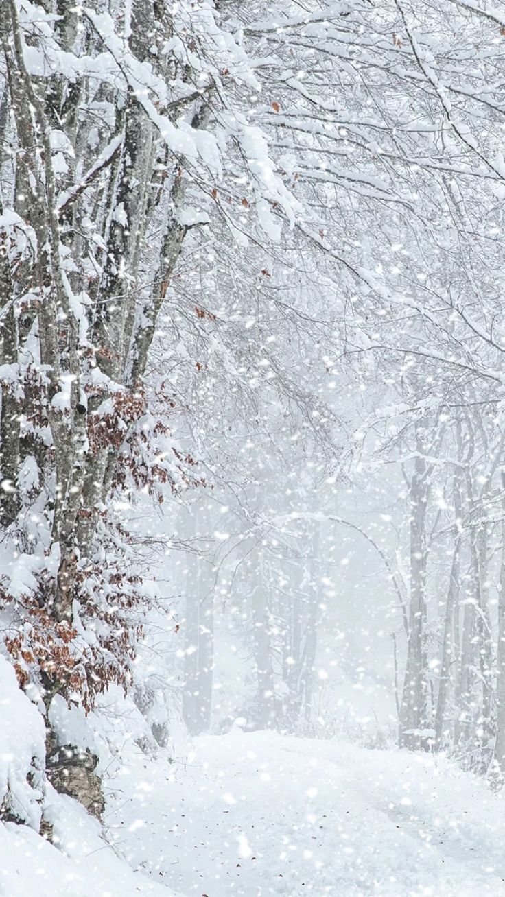 a person walking in the snow with an umbrella