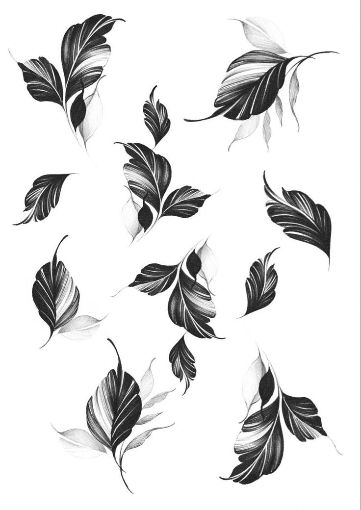 black and white drawing of leaves on a white background, each with different colors in it