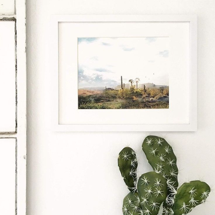 a cactus is hanging on the wall next to a white frame with a desert scene in it