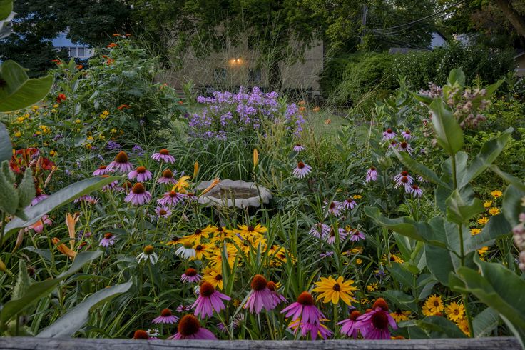 a garden filled with lots of purple and yellow flowers