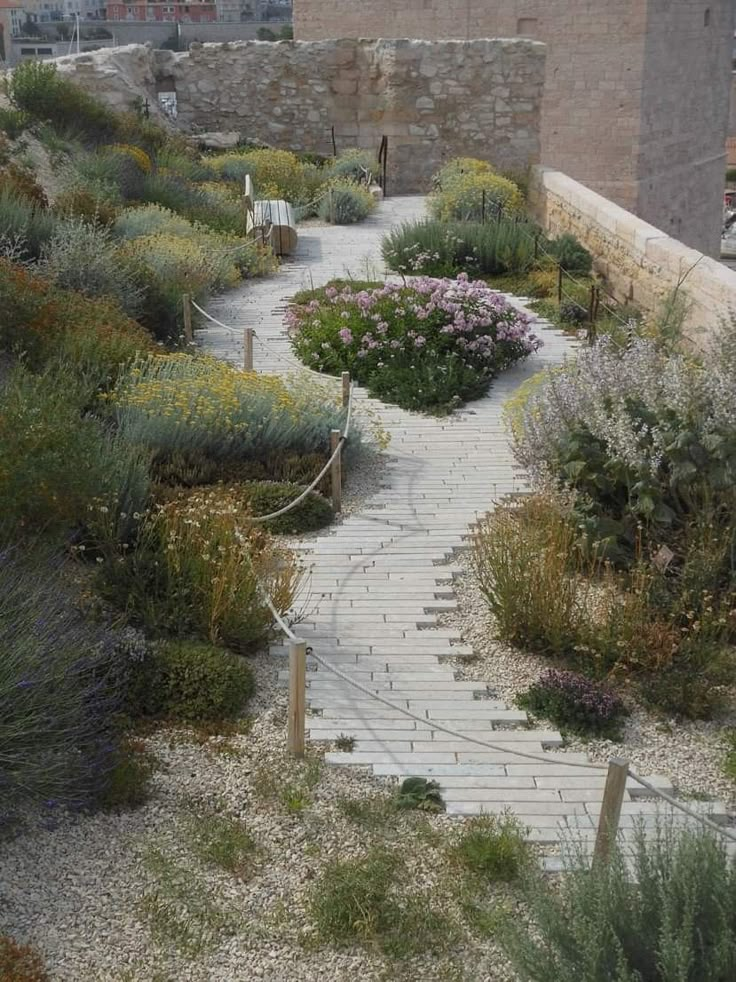 a walkway that is surrounded by plants and flowers