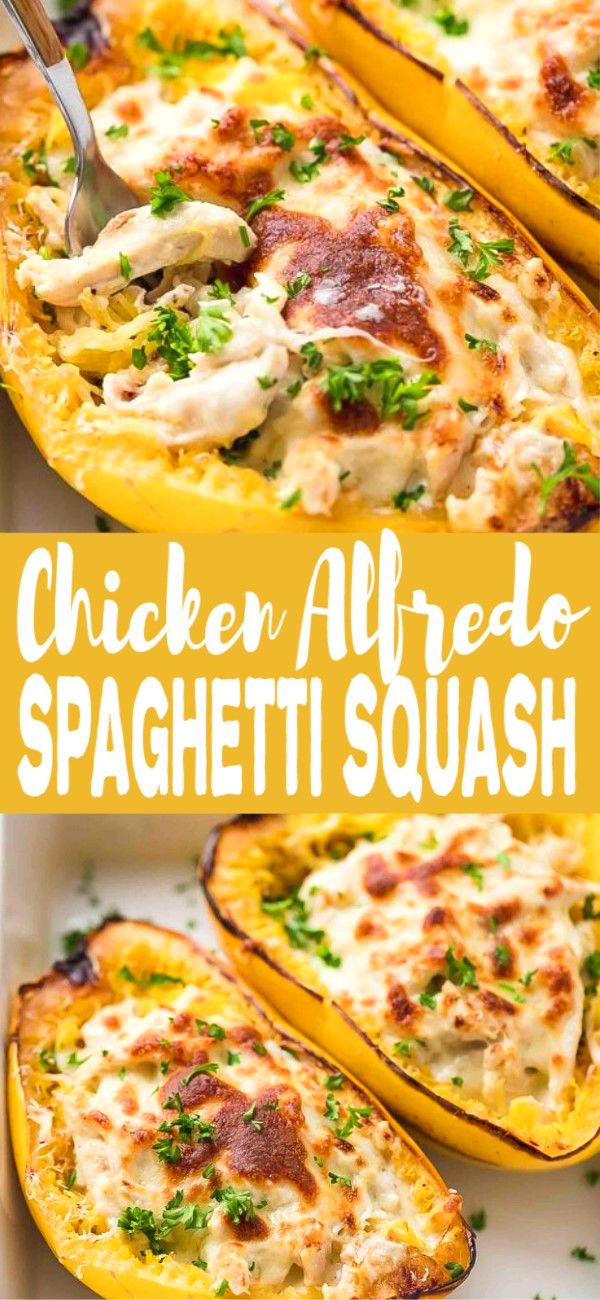 chicken alfredo spaghetti squash stuffed with cheese and parsley