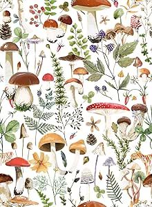 an image of many different mushrooms and plants