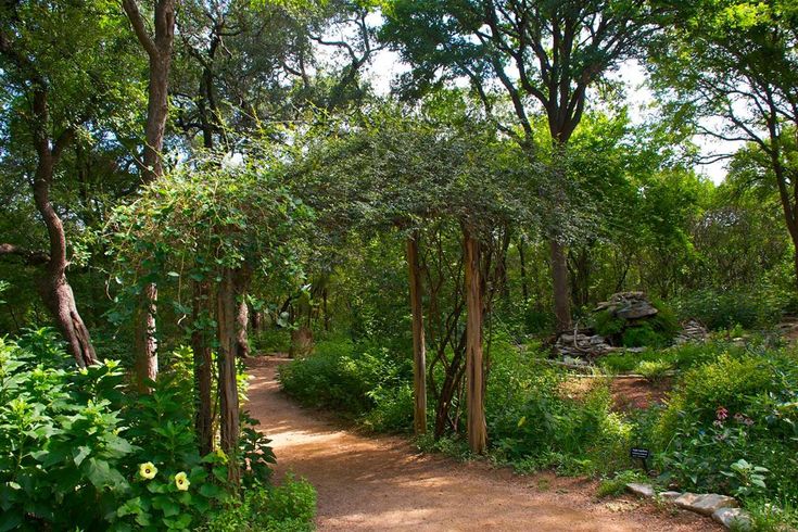 a dirt path surrounded by trees and bushes