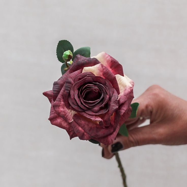 a person holding a flower in their hand