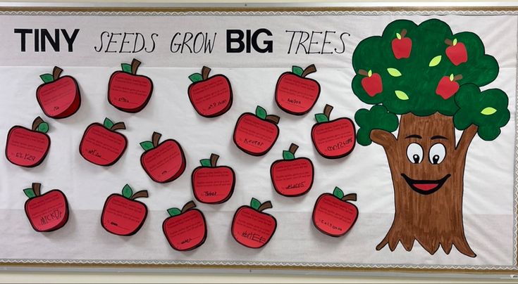 A painted apple tree is on the right side of the board. Apples are placed to the left of the tree. Students assembled the apples with the parts of the apple on the inside. Tiny seeds grow big trees. Tiny Seeds Grow Mighty Trees Bulletin, Apple Tree Bulletin Board Ideas, Bulletin Board Apple Ideas, Apple Tree Door Decorations Classroom, Apple Bulliten Board, Apple Tree Bulletin Board, Bulletin Board Apple Tree, Infant Bulletin Board, Tiny Seeds Grow Mighty Trees