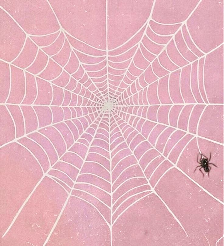 a spider sits in the center of a web - like pattern on a pink background