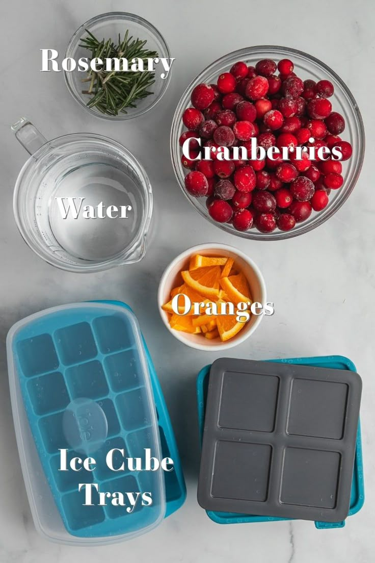 ice cube trays filled with cranberries, oranges and water