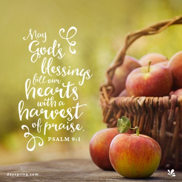 a basket full of apples sitting on top of a table next to a bible verse