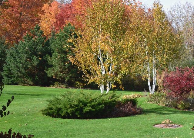 the trees are changing colors in the park