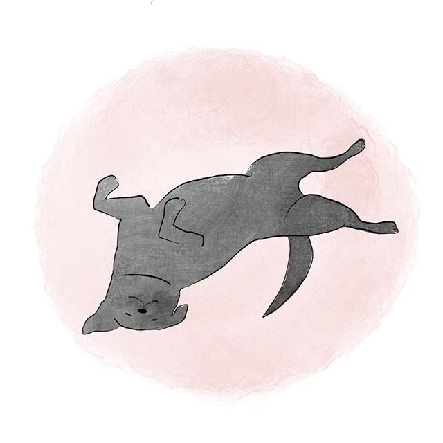 a drawing of a dog jumping in the air