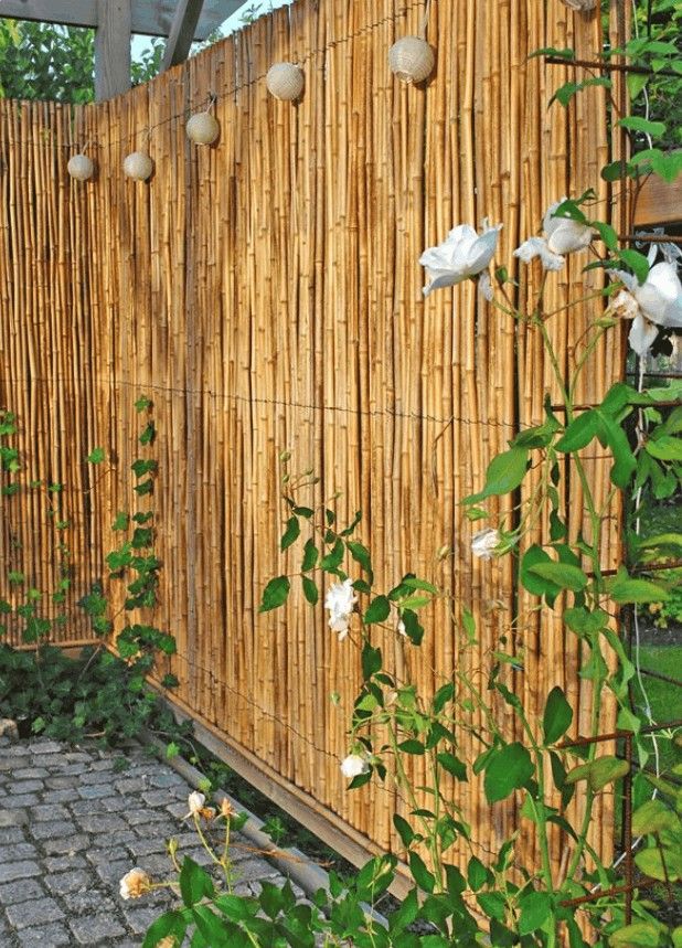 a bamboo fence with white flowers growing next to it