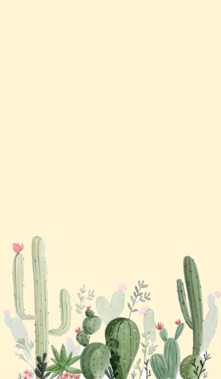 an illustration of cactus plants and flowers