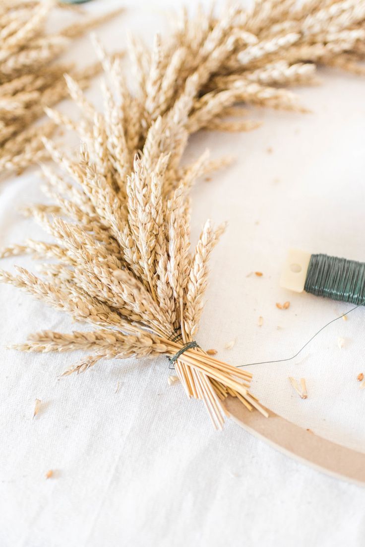 some dried plants are sitting on a table with scissors and glue in front of them