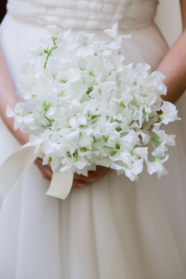 a bride holding a bouquet of white flowers