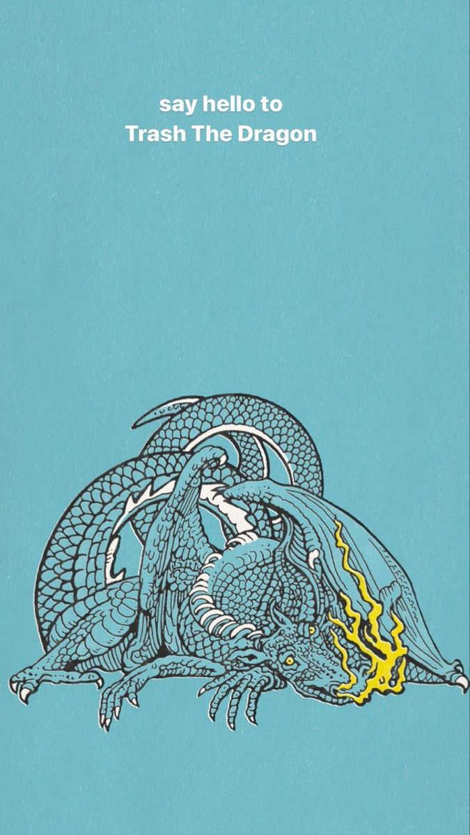 a blue book cover with an image of a dragon on it's back and the words say hello to trash the dragon