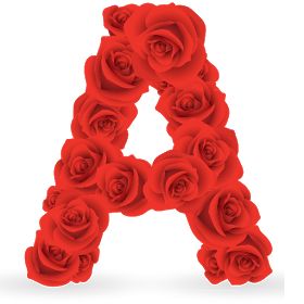 the letter is made up of red roses