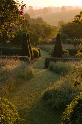 the sun shines on an outdoor garden with trees and bushes in the foreground