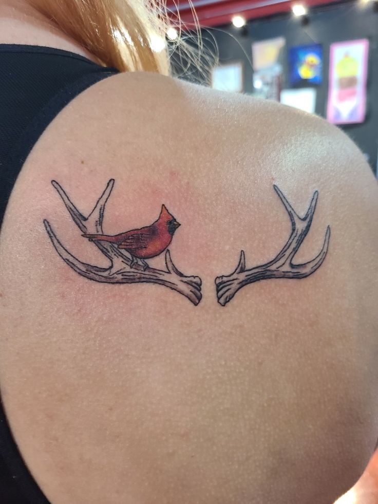 the back of a woman's shoulder with two birds on antlers