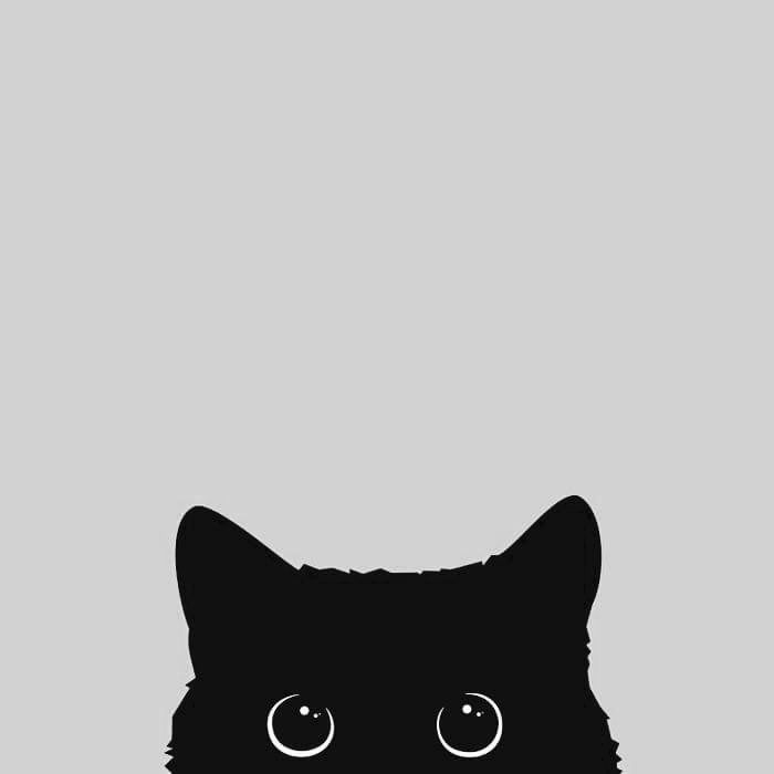 a black cat with big eyes on a gray background