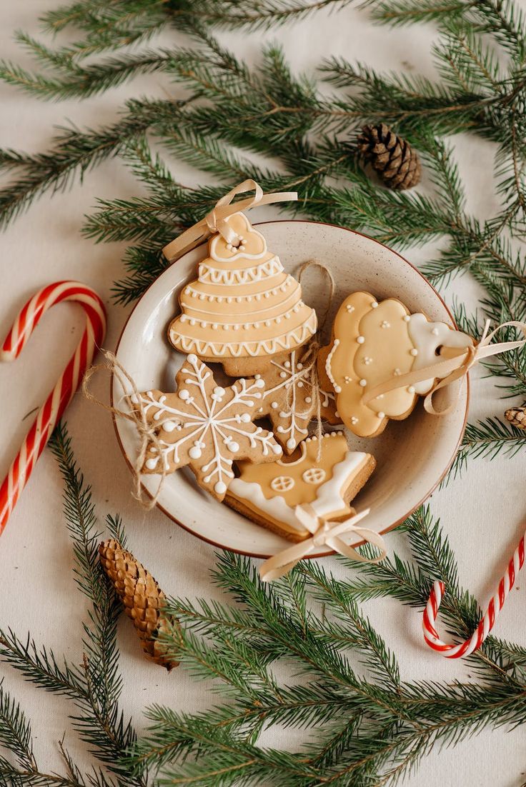 christmas cookies and candy canes on a plate