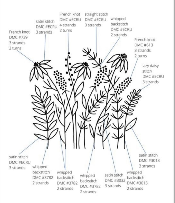 a diagram showing the different types of flowers