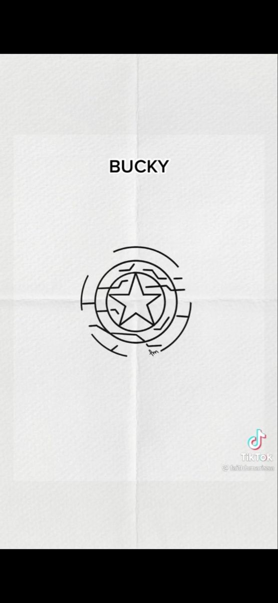 the back cover of bucky's album, which features an image of a star and