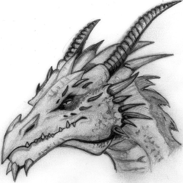 a drawing of a dragon's head with long horns