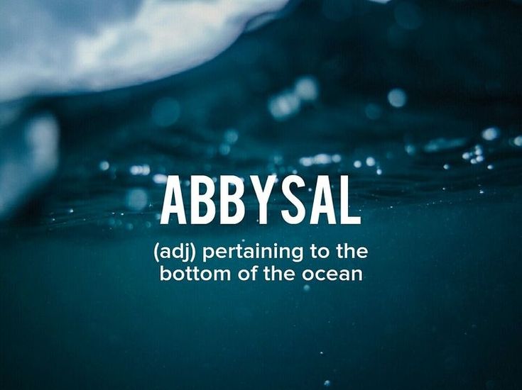 the words abysal are written in white on a dark blue background with water bubbles