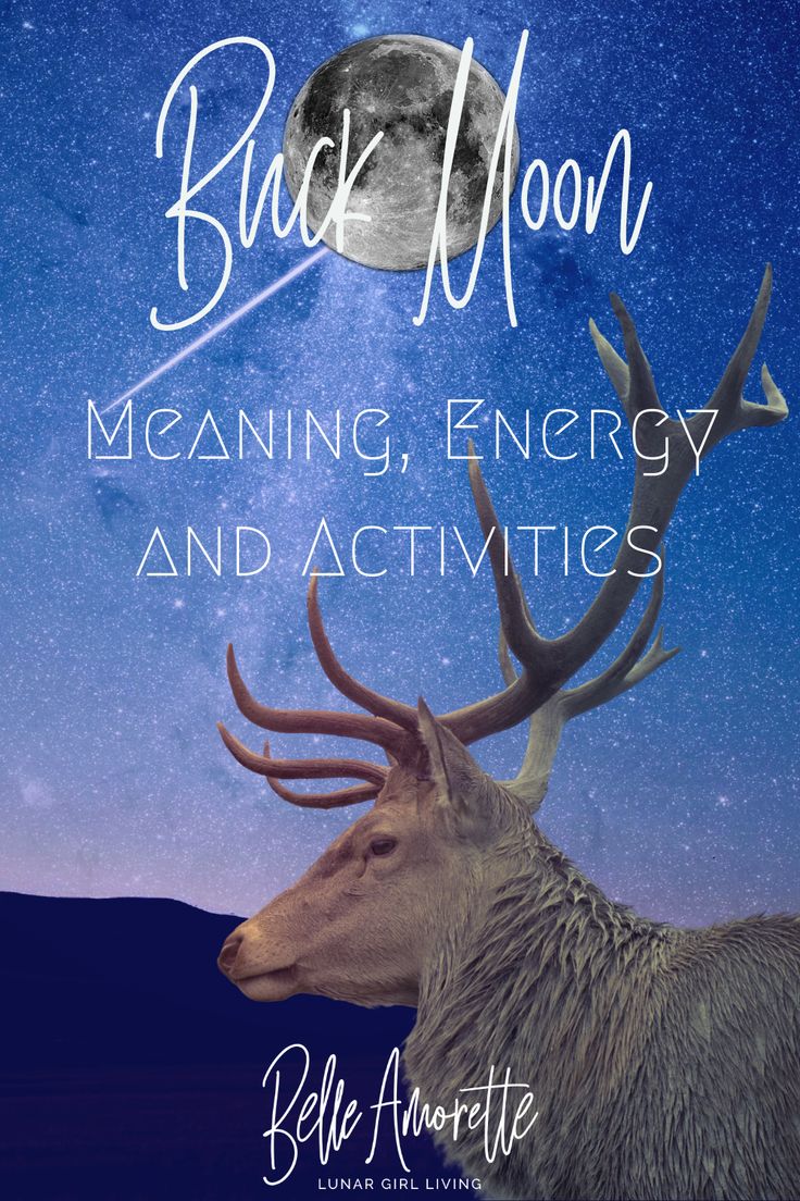 an animal with antlers on its head and the words, buck moon meaning energy and activities