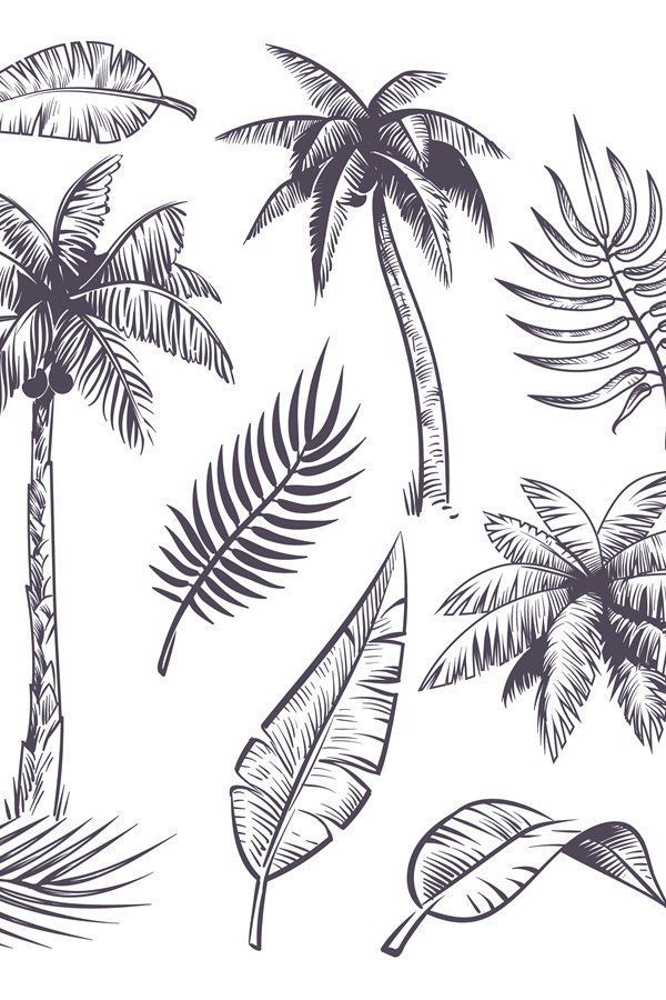 palm trees and leaves drawn in ink