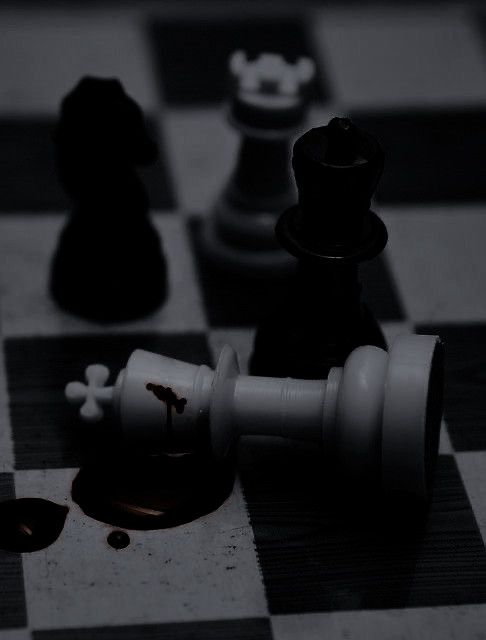 black and white chess pieces on a checkerboard board with one pawn facing the other